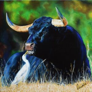 Amistades del campo bravo